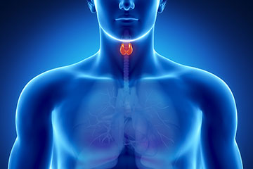 Thyroid Pain